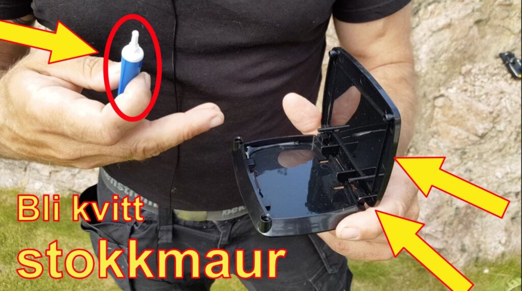bli kvitt stokkmaur