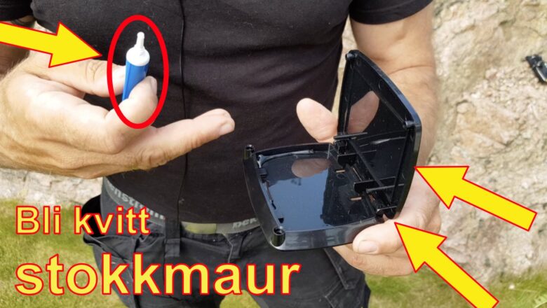 Nå kommer stokkmauren, og slik blir du kvitt den