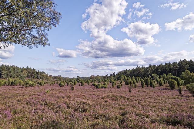 Hva er SEO? Søkemotoroptimalisering